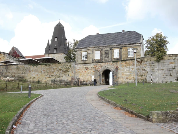Ferdinand´s Aussenansicht