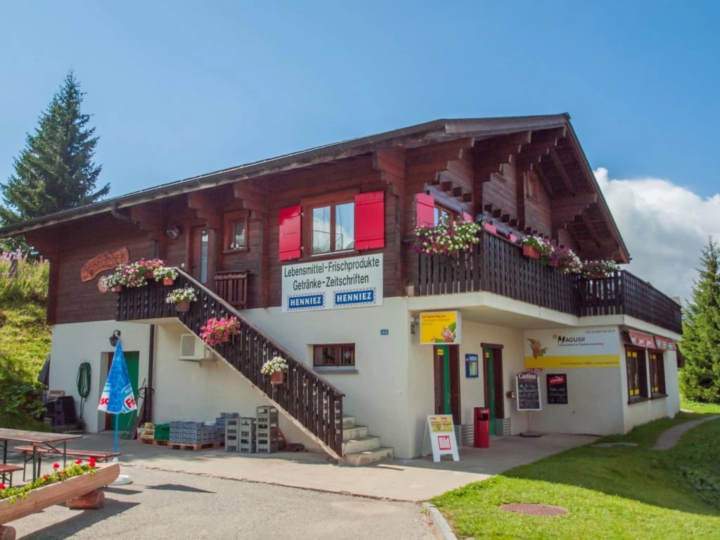 Magusii-Rosswald-Webseite Magusii.jpg