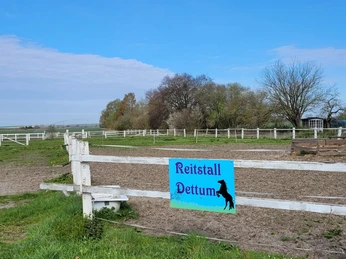 Reitstall Dettum 1.jpg