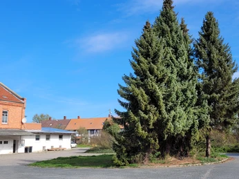 Reitstall Dettum 5.jpg