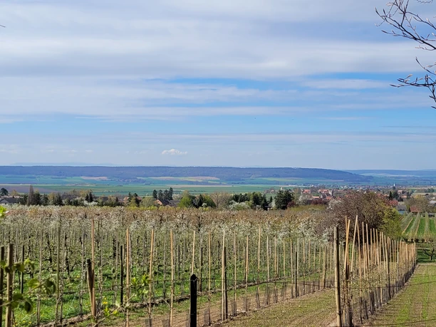 Obstbausiedlung Evessen 5.jpg