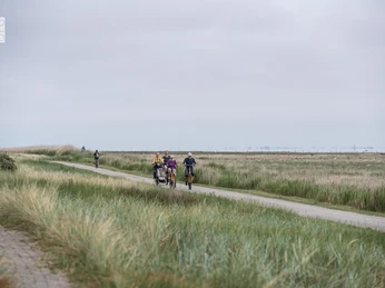 inselradtour.jpg inselradtour