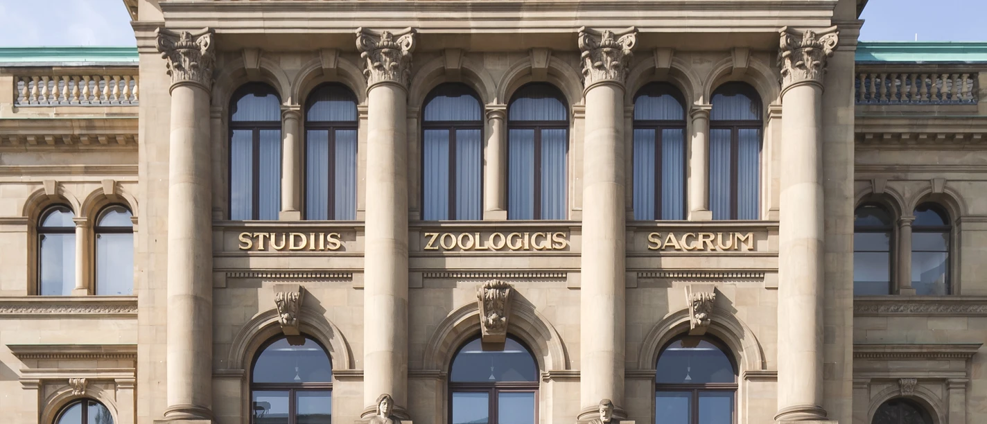 Das Museum Koenig Bonn