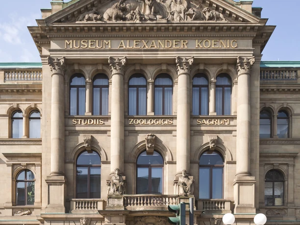 Das Museum Koenig Bonn