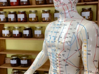 Ganzheitliche Therapieansätze Eine Akupunkturmodellfigur vor Regalen mit Kräutergläsern, die Meridianlinien darstellen.