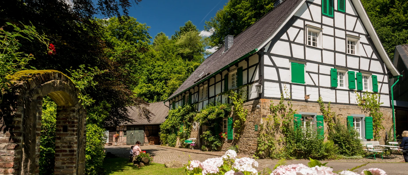 Fachwerkhaus mit grünen Fensterläden, umgeben von üppigem Garten und blühenden Blumen.