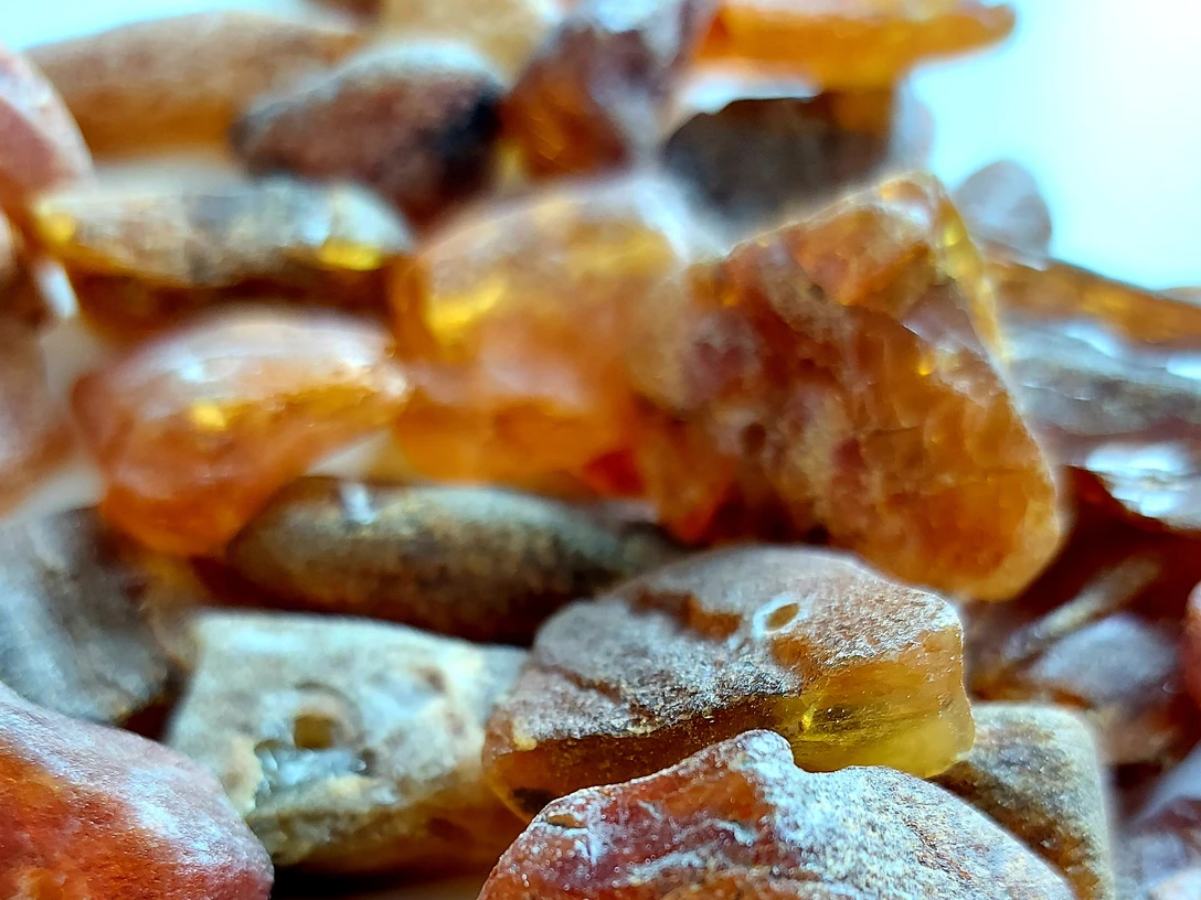 Bernsteinwerkstatt im Nationalpark-Haus Greetsiel Nahaufnahme verschiedener Bernsteinstücke in warmen Braun- und Goldtönen auf heller Unterlage.