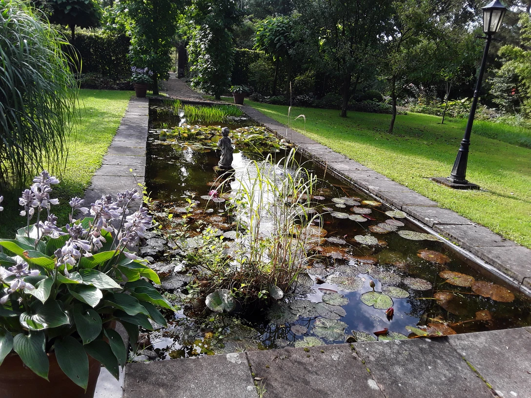 Landhausgraten Knospe Aurich Landhausgraten Knospe Aurich