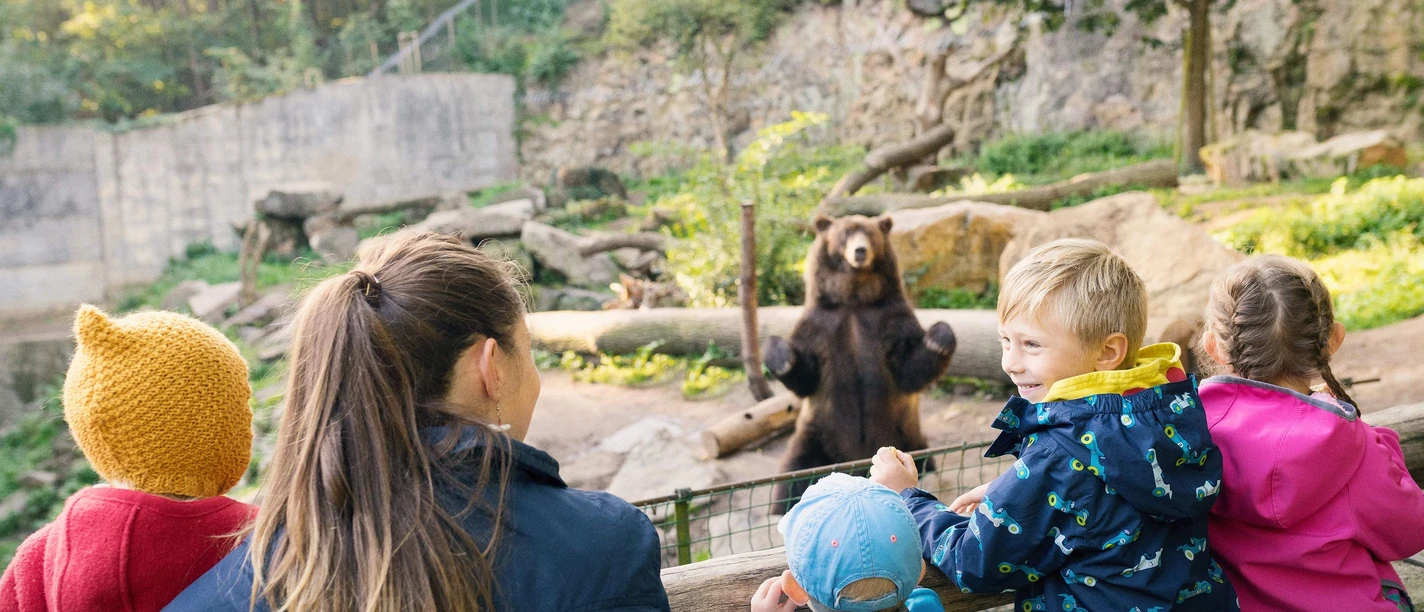 A group of children and an adult watch a standing bear in a zoo enclosure surrounded by trees and rocks.