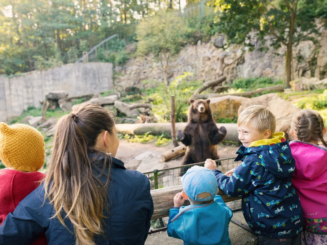 Zoo Děčín Eine Gruppe von Kindern und ein Erwachsener beobachten einen stehenden Bären in einem Zoo-Gehege, umgeben von Bäumen und Felsen.