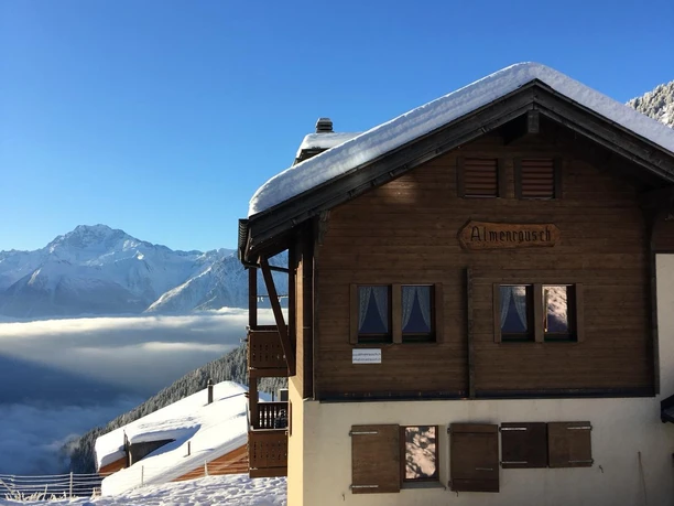 Almenrausch im Winter