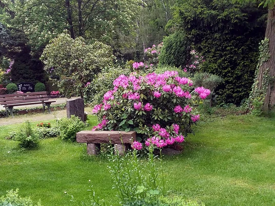 Friedhof St. Nicolai Gifhorn_Friedhofsverwaltung Gifhorn2.jpg