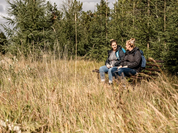 Wandern in der Urlaubsregion Altenberg Wanderung mit Jugend, Gesingberg, Landschaft, Feuerwehrausfahrt, Wanderschilder, Wanderwege, Wanderer bei Pause, Kahleberg Ausblick