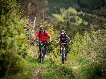 Mountainbiker auf Grastrail in Willingen Mountainbiker auf Grastrail in Willingen