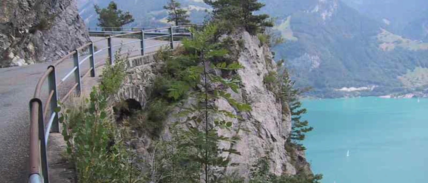 Bike-Tour Bärchi: Der herrliche Blick auf den Urnersee