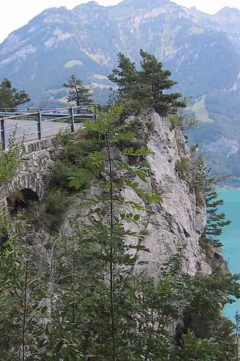 Bike-Tour Bärchi: Der herrliche Blick auf den Urnersee