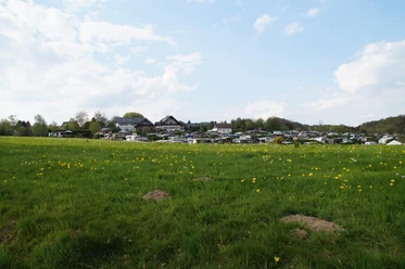 Campingplatz und Restaurant Camping Paul Auf dem Bild ist eine weitläufige Wiese mit verstreuten Löwenzahnblüten und im Hintergrund eine Ansammlung von Gebäuden und Bäumen unter einem leicht bewölkten Himmel zu sehen.