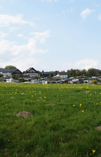 Campingplatz und Restaurant Camping Paul Auf dem Bild ist eine weitläufige Wiese mit verstreuten Löwenzahnblüten und im Hintergrund eine Ansammlung von Gebäuden und Bäumen unter einem leicht bewölkten Himmel zu sehen.