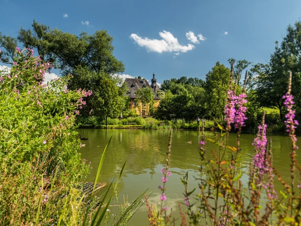Blick auf Burg Zweiffel in Herrenstrunden Historisches Schloss mit Turm umgeben von grünen Bäumen und einem Teich im Vordergrund.