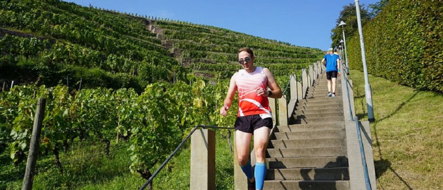 gal11_img_1630956588.8921.jpg Ein Läufer joggt eine Treppe durch Weinberge bei Sonnenschein hinab.