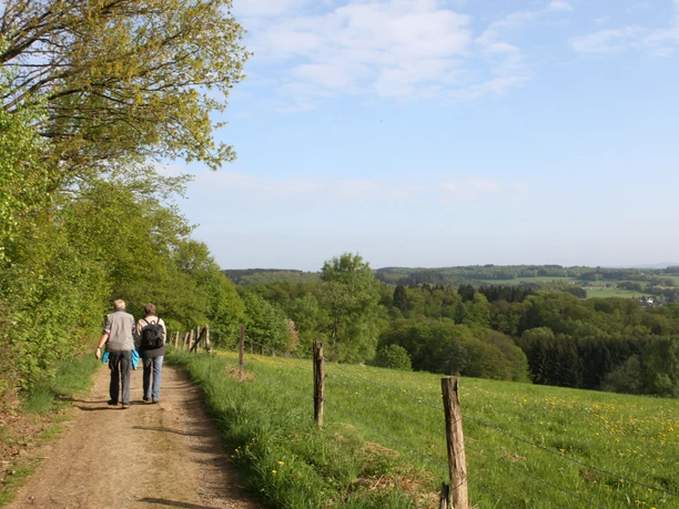 auf dem Panoramasteig in Nümbrecht Wanderer auf einem ländlichen Pfad durch grüne Wiesen, umgeben von Bäumen und weiter Aussicht.