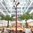 Hotel Vivendi Großzügiger, lichtdurchfluteter Lobbybereich mit Bäumen und modernen Sitzgelegenheiten im Zentrum.