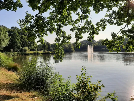 Ein ruhiger Weiher mit Springbrunnen, umgeben von Bäumen und üppigem Grün im Sommer.