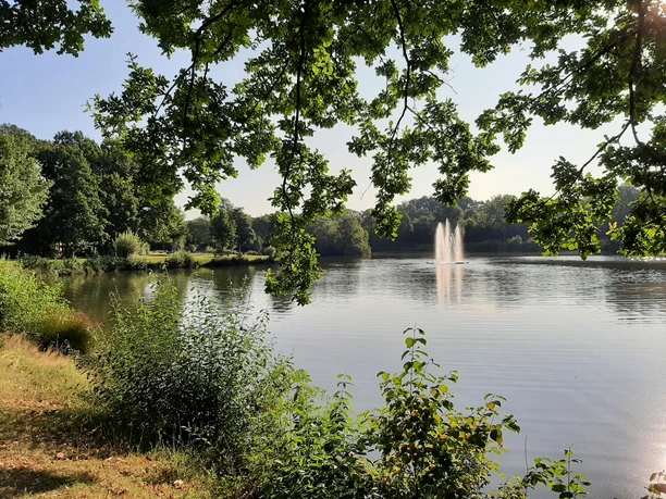 Ein ruhiger Weiher mit Springbrunnen, umgeben von Bäumen und üppigem Grün im Sommer.