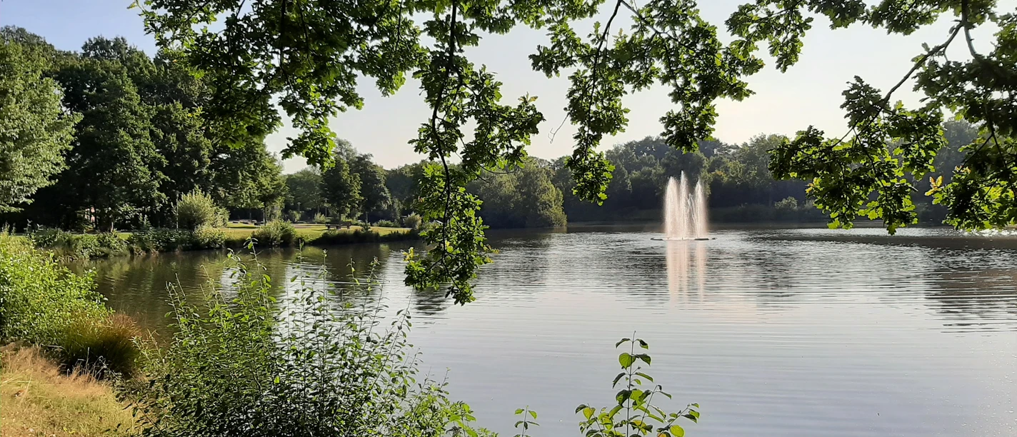 Gabelweiher Ein ruhiger Weiher mit Springbrunnen, umgeben von Bäumen und üppigem Grün im Sommer.