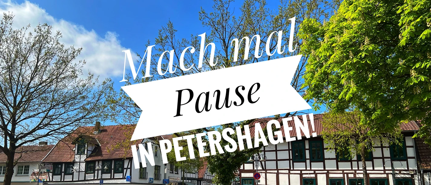 Ein Platz mit historischen Fachwerkbauten, Bäumen und blühenden Sträuchern unter blauem Himmel.