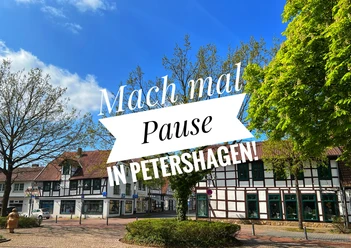 Symbolfoto.jpg Ein Platz mit historischen Fachwerkbauten, Bäumen und blühenden Sträuchern unter blauem Himmel.