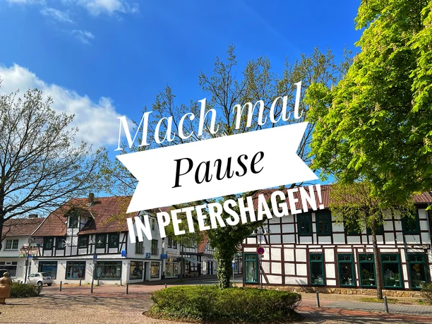 Symbolfoto.jpg Ein Platz mit historischen Fachwerkbauten, Bäumen und blühenden Sträuchern unter blauem Himmel.