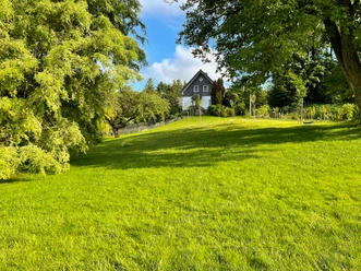 Ein idyllisches Haus auf einem grünen Hügel, umgeben von Bäumen und strahlendem Sonnenschein.