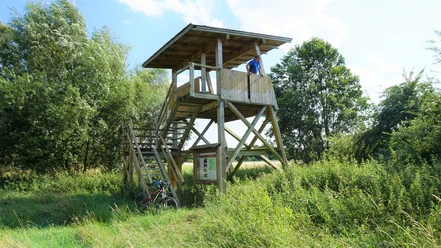 Aussichtsplattform an der Uhraumündung