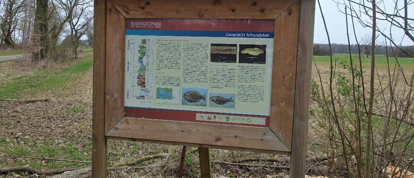 Geopunkt Jurameer Schandelah