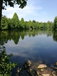 Bergisch Gladbach Ruhiger See umgeben von saftig grünen Bäumen, ein idyllisches Naturbild mit klarem blauen Himmel.