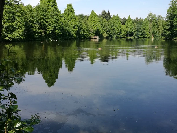 Bergisch Gladbach Ruhiger See umgeben von saftig grünen Bäumen, ein idyllisches Naturbild mit klarem blauen Himmel.