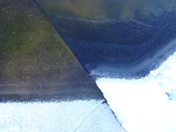 Sabine Feldmeier-Langer - Bild 1.jpg