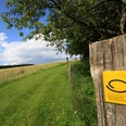 Hengstenberg Pfad mit grünem Gras, gelbem Wegweiser "Bergischer Panoramasteig", blauer Himmel mit Wolken.