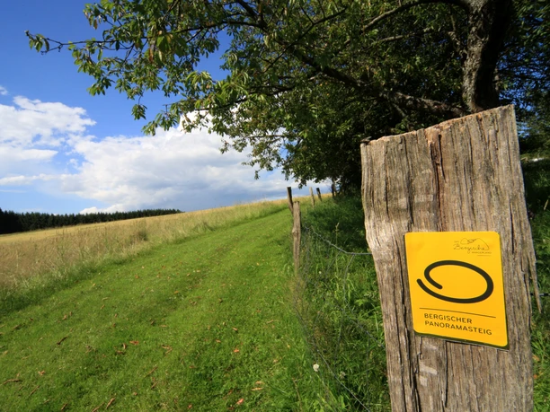 Hengstenberg Pfad mit grünem Gras, gelbem Wegweiser "Bergischer Panoramasteig", blauer Himmel mit Wolken.