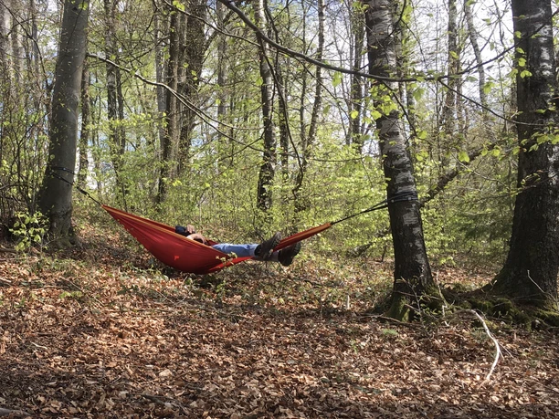 Hängematte im Wald Person entspannt in roter Hängematte zwischen Bäumen im sonnigen Wald; umgeben von braunem Laub.
