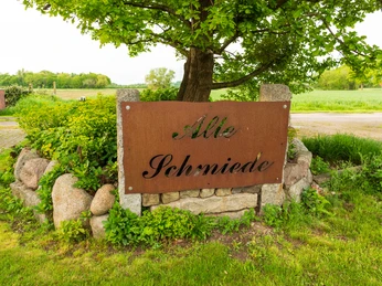 Schild mit der Aufschrift "Alte Schmiede" vor einer grünen Landschaft mit Baum und Feld im Hintergrund.