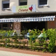 Der Außenbereich des Eiscafés Corona. Man kann Stühle und Tische unter einer Markise durch eine Hecke hindurch sehen