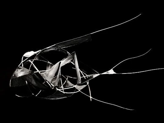 Kirsten Luna Sonnemann.jpg