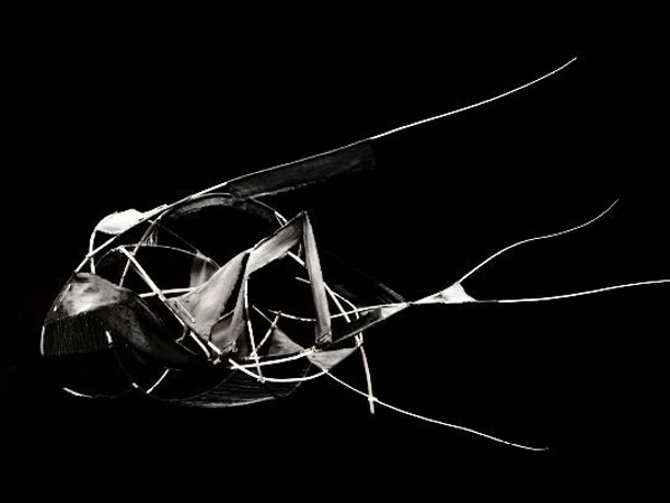 Kirsten Luna Sonnemann.jpg