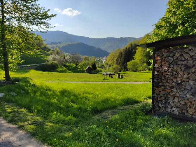 Forbach-Gausbach-Ringwiese