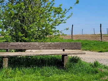 Ruhebank bei den Hühnern 3.jpg