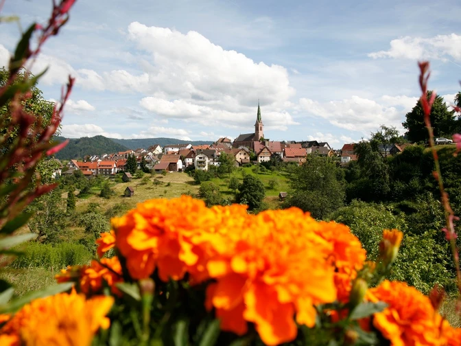 Forbach-Bermersbach - Blick auf das Dorf