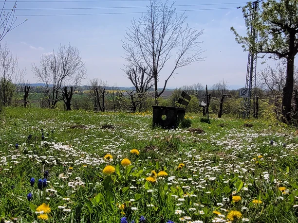 Ruhebank Werlaburgdorf 2.jpg