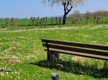 Ruhebank Werlaburgdorf 1.jpg